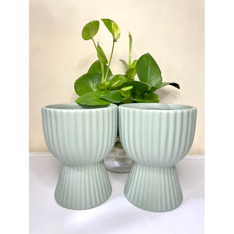 Chậu Trồng Cây Gốm Sứ Ly Cao-Chậu Sứ-Chậu Cây-Chậu Hoa Màu Xanh Pastel