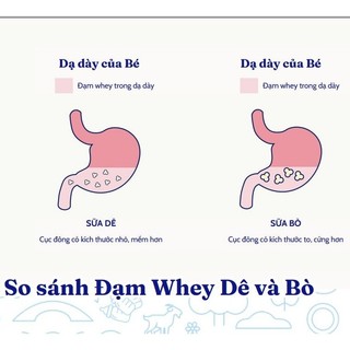 ( DATE 12/2026) Sữa công thức dê Kendamil Goat số 3 (800g)