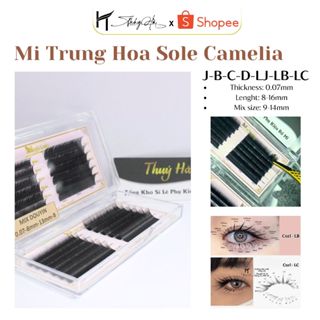 Mi Khay Trung Hoa Douyin (Sole 3 Độ Dài) Cong LJ-LB-LC 0.07 Siêu Đen, Siêu Bám Keo - Thúy Hà