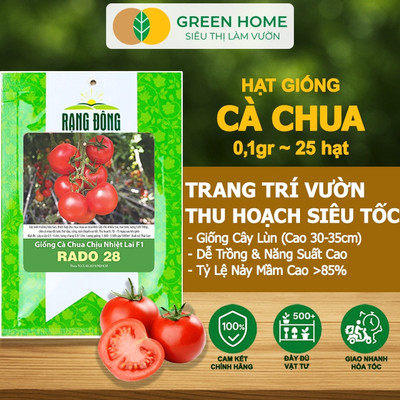 Hạt Giống Cà Chua GreenHome, Gói 0.1g~25 hạt, Chịu Nhiệt, Trồng Chậu, Nhiều Quả, Sinh Trưởng Tốt T15