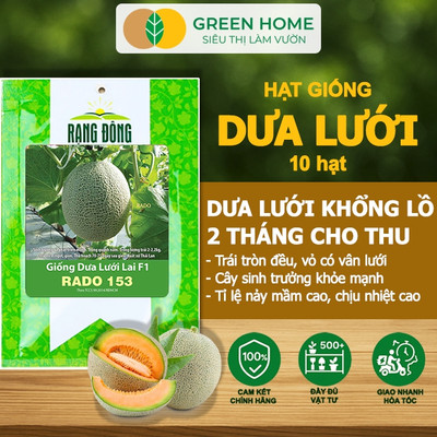 Hạt Giống Dưa Lưới Ruột Vàng GreenHome, Gói 10 Hạt, Dễ Trồng, Nảy Mầm Cao, Thu Hoạch Nhanh T14