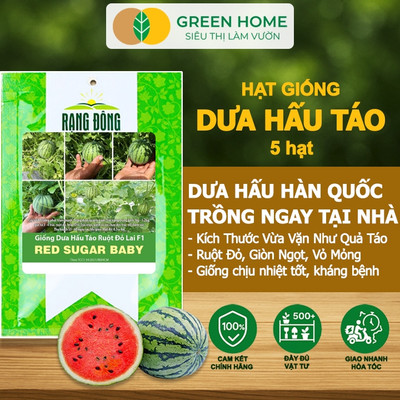 Hạt Giống Dưa Hấu Táo Ruột Đỏ GreenHome, Gói 5 Hạt, Dễ Trồng Quanh Năm, Nảy Mầm Cao, T23