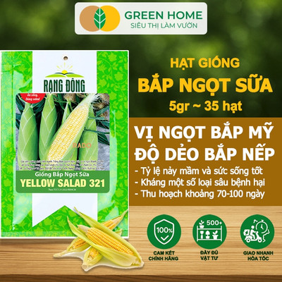 Hạt Giống Bắp Sữa Ngọt GreenHome, Gói 5g~35 hạt, Dễ Trồng Quanh Năm, Nảy Mầm Cao, T32