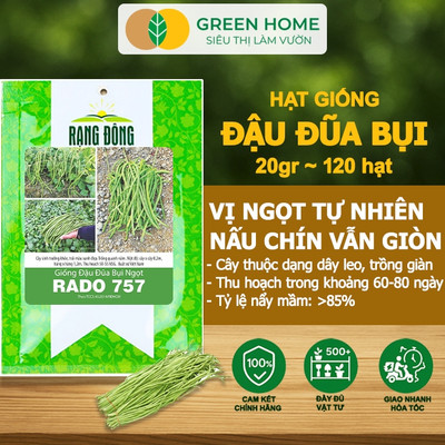 Hạt Giống Đậu Đũa Ngọt Lùn GreenHome, Gói 20g~120 hạt, Dễ Trồng Quanh Năm, Nảy Mầm Cao, T37