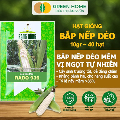 Hạt Giống Bắp Nếp Dẻo GreenHome, Gói 10g~40 hạt, Dễ Trồng Quanh Năm, Nảy Mầm Cao, T30