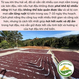 Đậu Đỏ Xích Tiểu Đậu