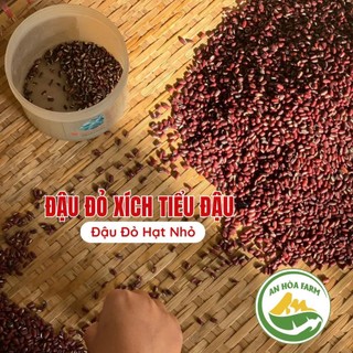 Đậu Đỏ Xích Tiểu Đậu