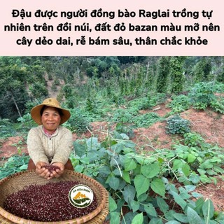 Đậu Đỏ Xích Tiểu Đậu