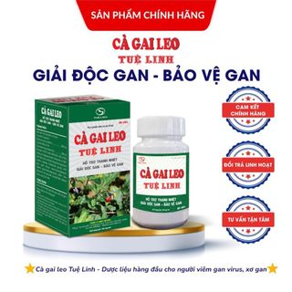  Cà gai leo Tuệ Linh  Chính hãng  - Viên uống Hỗ trợ thanh nhiêt Giải độc gan - Bảo vệ gan 