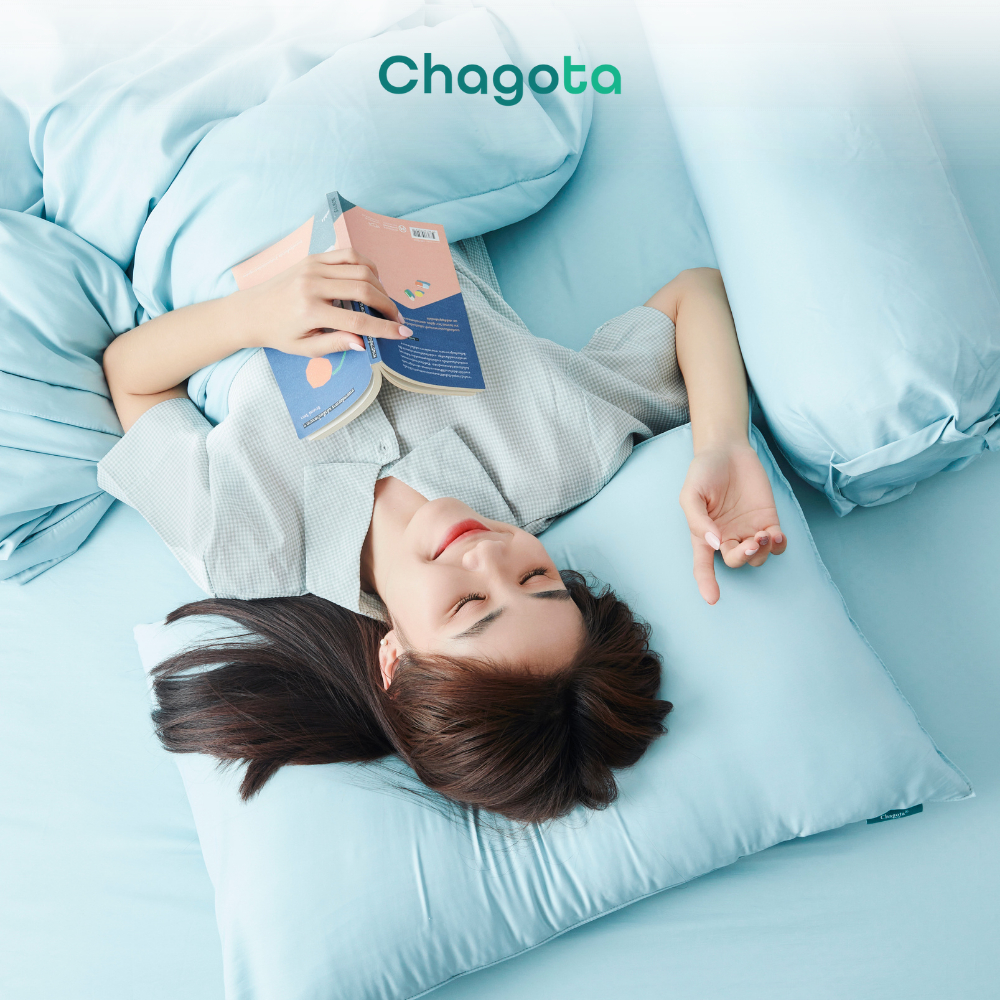 Bộ Chăn Ga Gối Lụa Silk Ice Size 1m2x2m đến 2mx2m2 Mát Lạnh Chagota Bedding Nhiều Màu Cao Cấp Thoáng Mát | BigBuy360 - bigbuy360.vn