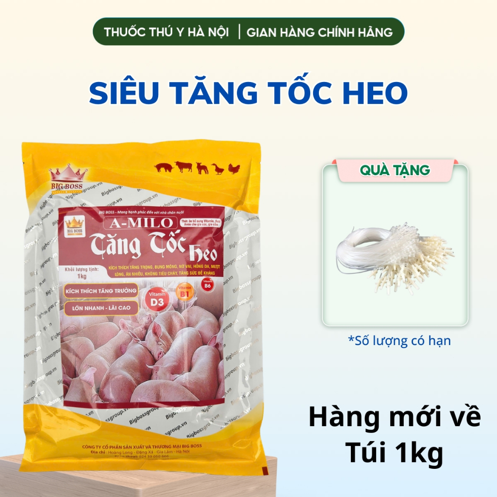 Tăng Tốc Heo Hàng Chuẩn Công Ty, Siêu Tăng Trọng Vỗ Béo Nhanh Cho Heo Hiệu Quả, An Toàn