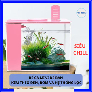 Bể Cá Để Bàn, Bể Cá Văn Phòng Mini Siêu Đẹp WH-623 Nhiều màu, Kèm Theo Đèn Và Hệ Thống Lọc Vách Cao Cấp