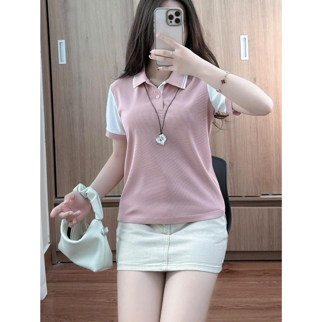 Combo 2 Áo Polo nữ tay phối cách điệu ,phong cách dễ mặc from vừa dễ thương có size tới 85kg ( M16) | BigBuy360 - bigbuy360.vn