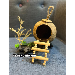 HANG GÁO DỪA CÓ THANG LEO