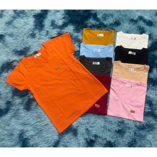 Áo thun cổ tim nữ _ combo 3 áo 1xxk