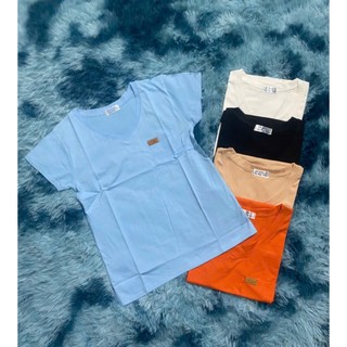 Áo thun cổ tim nữ _ combo 3 áo 1xxk