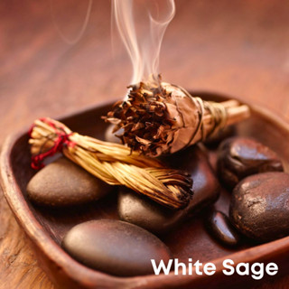 Tinh dầu Xô thơm trắng White Sage Essential Oil