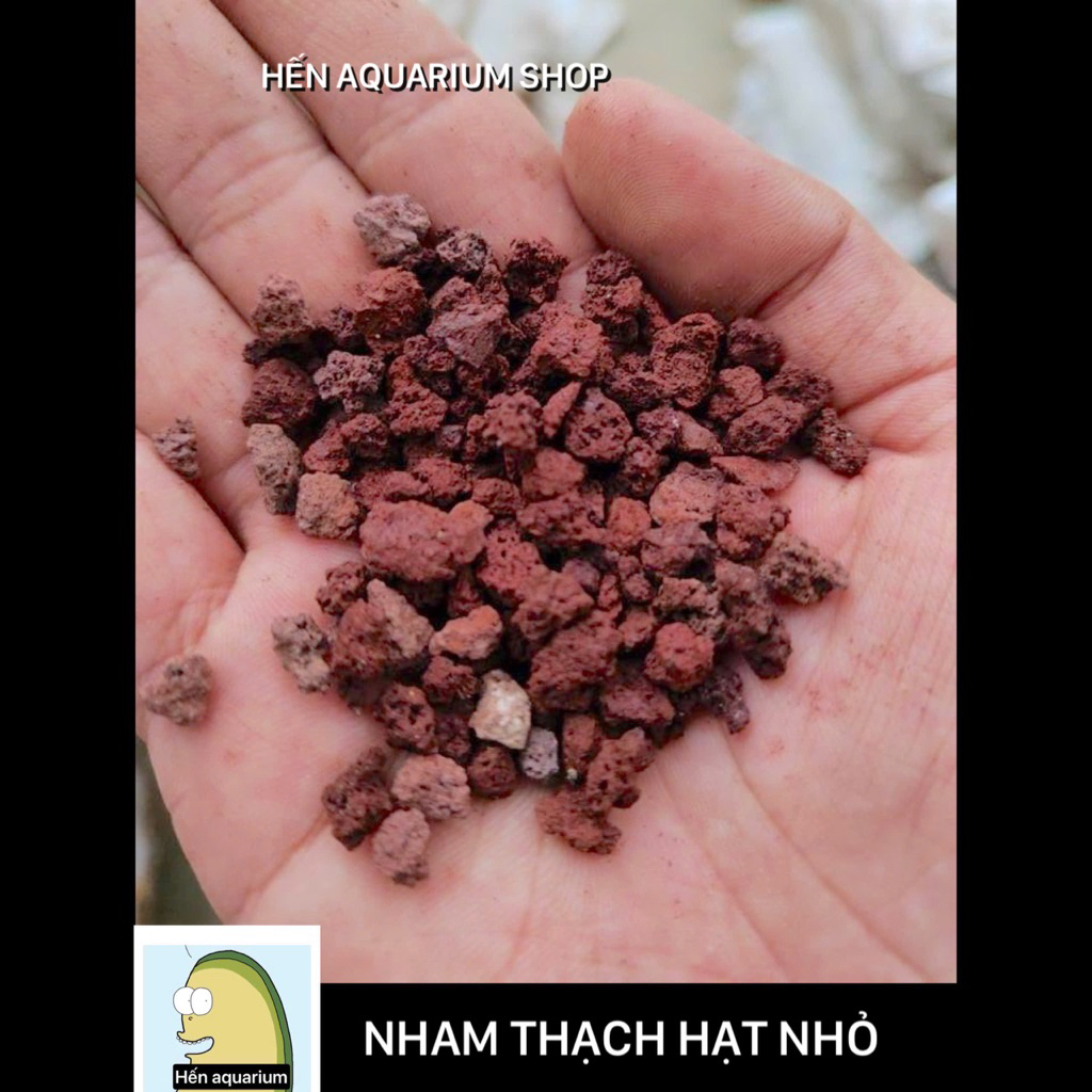 Đá nham thạch đỏ lava rock size nhỏ