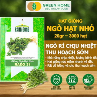 Hạt Giống Ngò Rí GreenHome, Gói 20g~3000 hạt, Dễ Trồng, Nảy Mầm Cao, Thu Hoạch Nhanh, Năng Suất G03