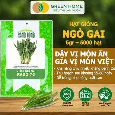 Hạt Giống Ngò Gai GreenHome, Gói 5g~5000 hạt, Mùi Tàu, Nảy Mầm Cao, Thu Hoạch Nhanh, Năng Suất G08