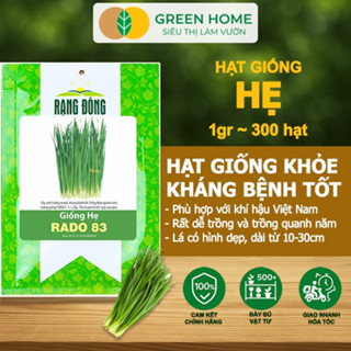 Hạt Giống Hẹ Cao Sản GreenHome, Gói 1g~300 hạt, Dễ Trồng, Nảy Mầm Cao, Thu Hoạch, Năng Suất Cao G04