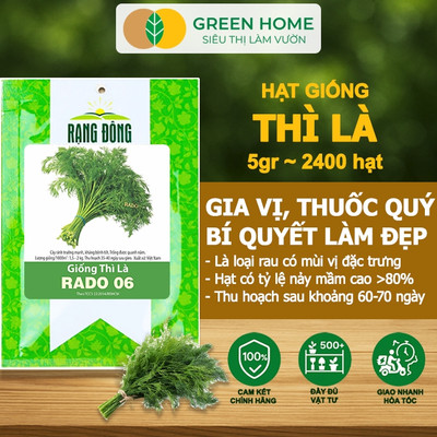Hạt Giống Rau Thì Là GreenHome, Gói 5g~2400 hạt, Dễ Trồng, Nảy Mầm Cao, Thu Hoạch, Năng Suất Cao G11