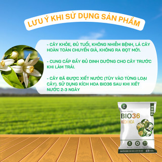 Kích Hoa Bio36 Chuyên Dùng Cho Hoa Và Cây Ăn Quả - Gói 100g