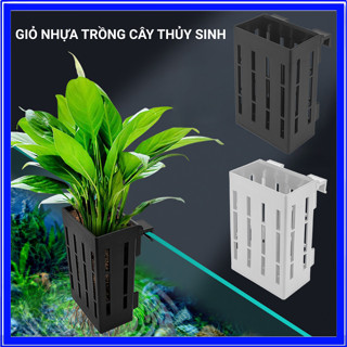  Giỏ Trồng Cây Thủy Sinh - Giỏ Nhựa Móc Hít Bể Cá Rọ Nhựa Cốc Nhựa Trồng Cây Thủy Sinh Nhiều Size Cho Bể Thủy Sinh 