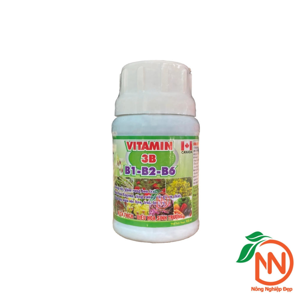 Vitamin B1-B2-B6 100ml -  Vitamin 3B - Điều Hòa Sinh Trưởng - Chống Sốc Cây Trồng