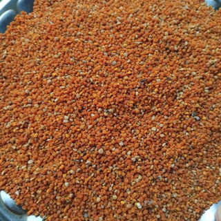 Phấn hoa cỏ kim dưỡng ong. 1kg