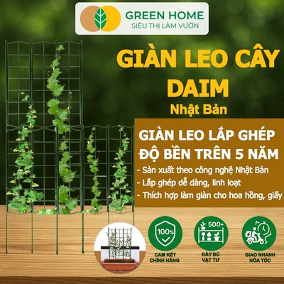 Giàn Leo Cho Cây GreenHome, Daim, Nhật Bản, R45xc125cm, Khung Cây Leo, Dễ Lắp Ráp, Độ Bền 5 Năm