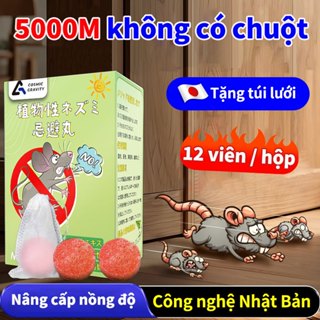 🐀Vô hại với con người💊long não đuổi chuột,thuốc đuổi chuột trong nhà ,băng phiến đuổi chuột 100% chiết xuất thực vật