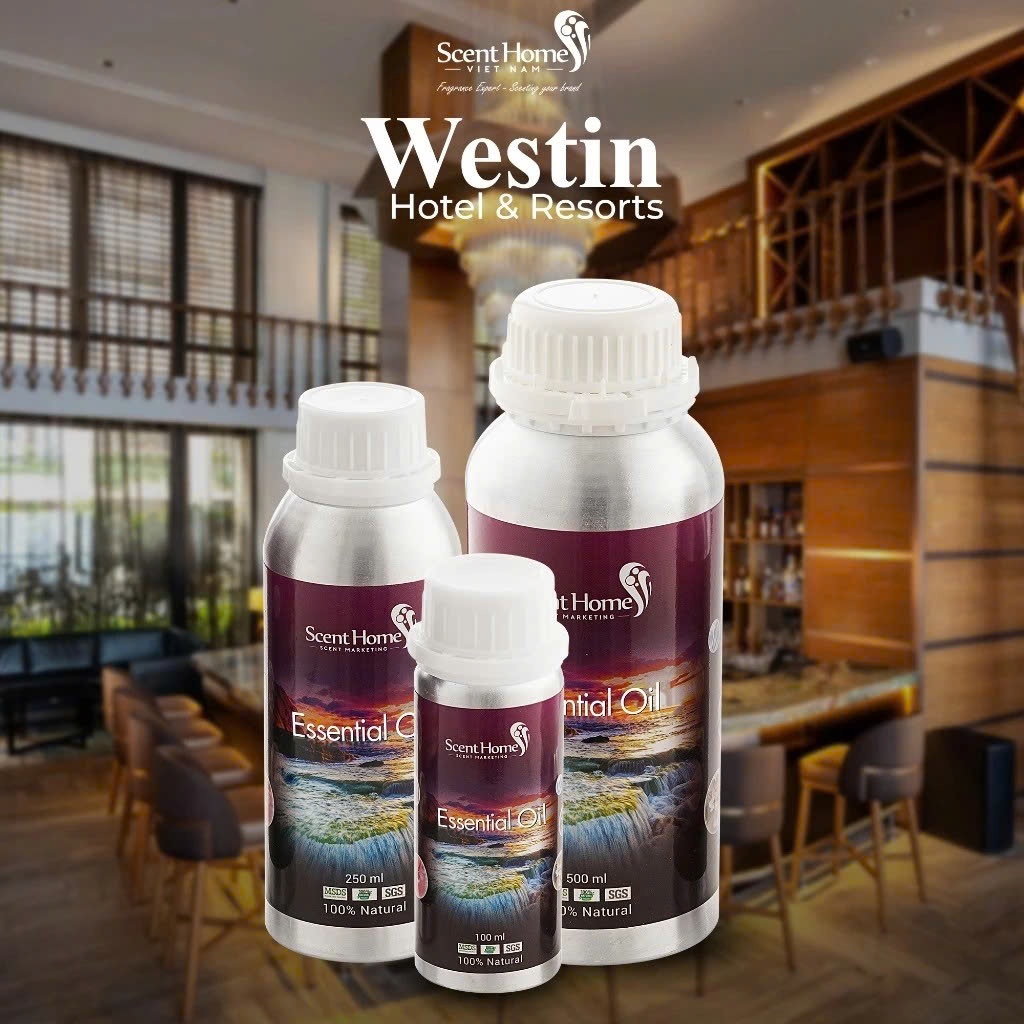 Tinh dầu 𝐒𝐜𝐞𝐧𝐭 𝐇𝐨𝐦𝐞𝐬 mùi hương Westin Hotel thể tích 100ml