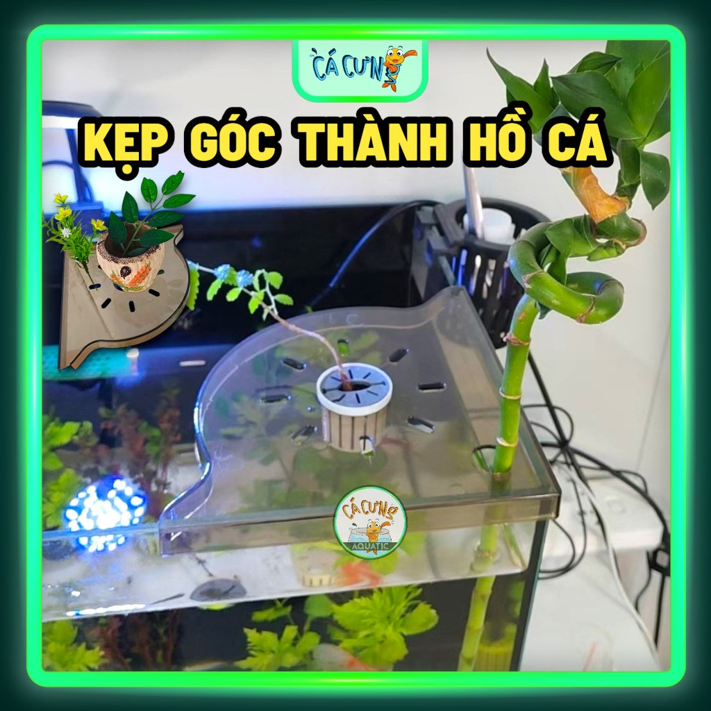 Kẹp Góc Hồ Cá - Kệ Kê Thành Bể Cá Trồng Cây Thủy Sinh, Kê Đồ Trang trí hồ (LOẠI 1)