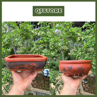 Chậu Gốm Sứ Trồng Cây Bonsai Mini Màu Đỏ Họa Tiết Lá trúc