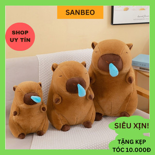  Gấu Bông Chuột Lang Nước Capybara Mềm Mịn 32cm – Thú Nhồi Bông Dễ Thương Gối Ôm Siêu Mềm - SANBEO 