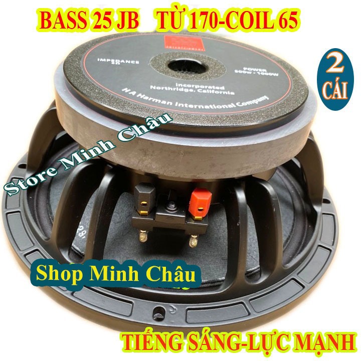 CẶP BASS 25 B|_ CHINA - LOA BASS 25 NHẬP KHẨU - GIÁ 2 CHIẾC