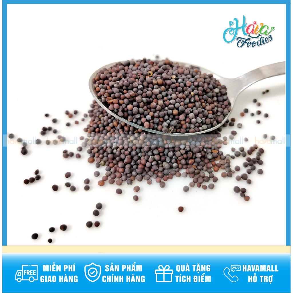 [HÀNG CHÍNH HÃNG] Hạt Mù Tạt Đen – Black Mustard Seed