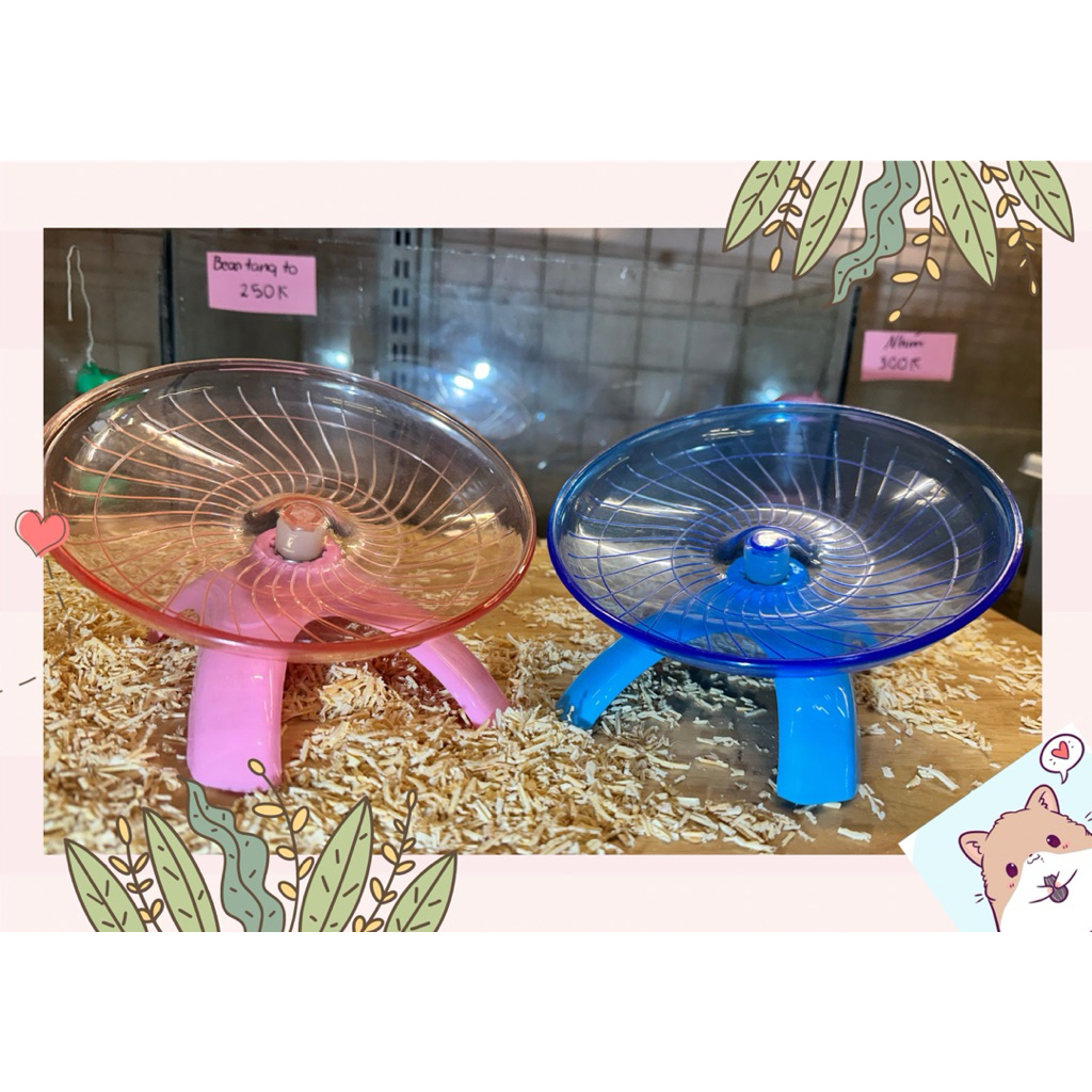 Đĩa bay - parabol - vòng chạy size lớn cho hamster ww- hamster cample - hamster robo