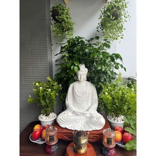 Tôn Tượng Bổn Sư _ 55CM