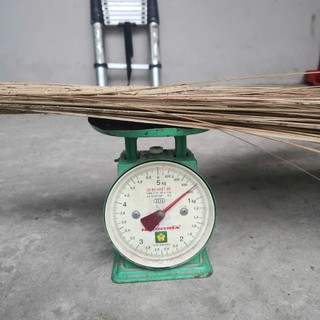[Một cây] Chổi dừa quét sân – cứng cáp, chắc tay, quét sạch không sót!