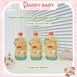  Nước ép trái cây hoa quả nghiền Bebecook Hàn Quốc cho bé 