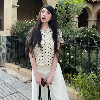 (PB.HAVANA) Áo kiểu CONY babydoll cổ bèo ren chấm bi phối bo chun AO536