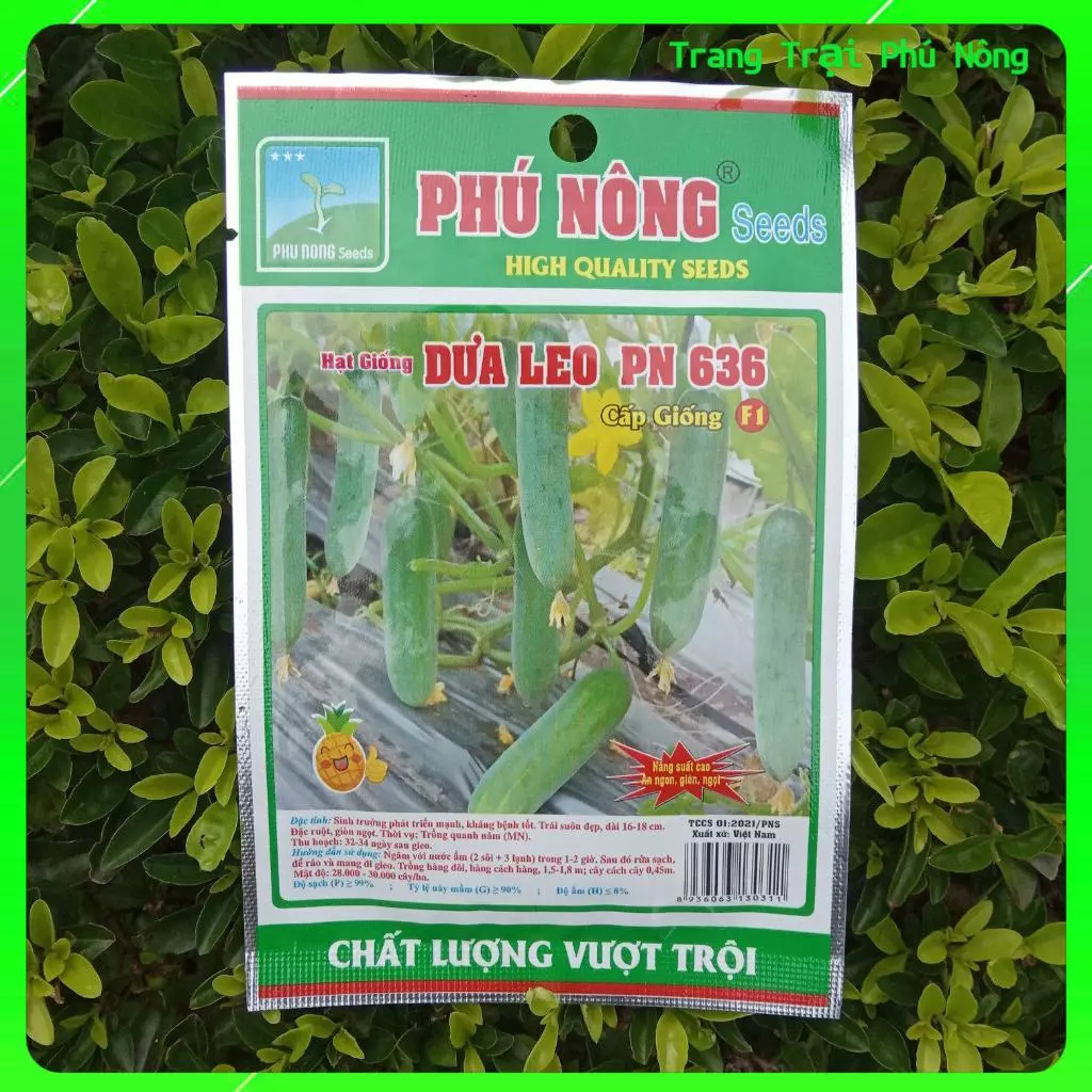 Hạt Giống Dưa Leo F1 Siêu Năng Suất PN-636 Phú Nông - Gói 1g - Cucumber Super-Yield-636
