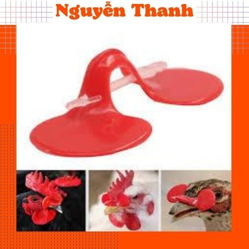KÍNH ĐEO CHO GÀ BỘ 100 KÍNH