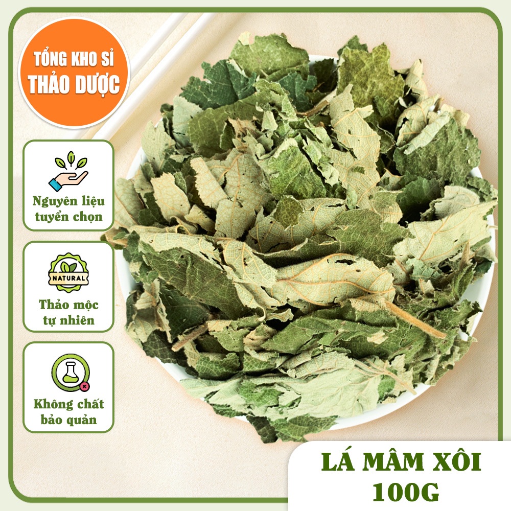 Lá mâm xôi rừng Tây Bắc 100g, nguyên lá, xanh thơm, trà mâm xôi, hỗ trợ làm dày niên mạc, ivf