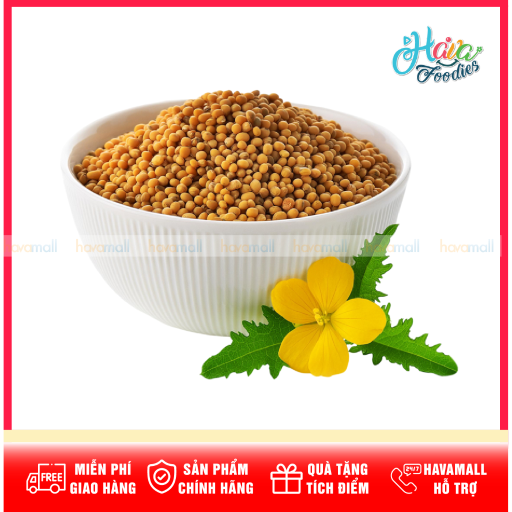 [DATE MỚI NHẤT] Hạt Mù Tạt Vàng – Mustard Seeds