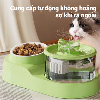 Vòi uống nước tự động cho thú cưng, tách nước ướt và nước khô, tích hợp chức năng uống và cho ăn