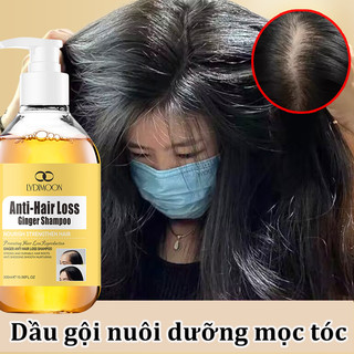 Dầu Gội Kiềm Dầu Chống Rụng Tóc Gừng LYDIMOON 300ml - Kích Thích Mọc Tóc, Giảm Ngứa, Phục Hồi Da Đầu