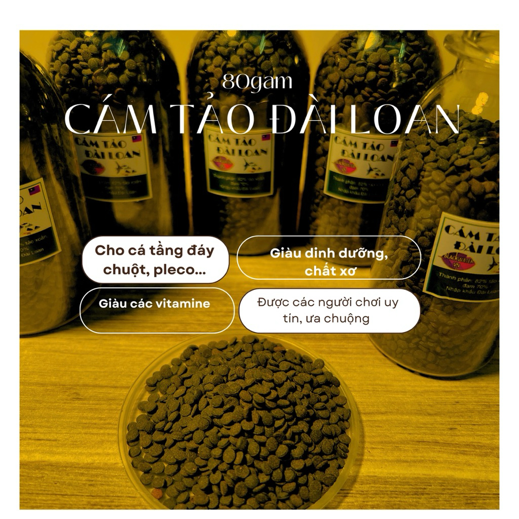 CÁM TẢO ĐÀI LOAN ( Chuột, pleco, thần tiên, diếc, hồng mi)